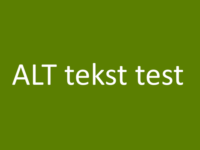 Media: ALT tekst - 2
